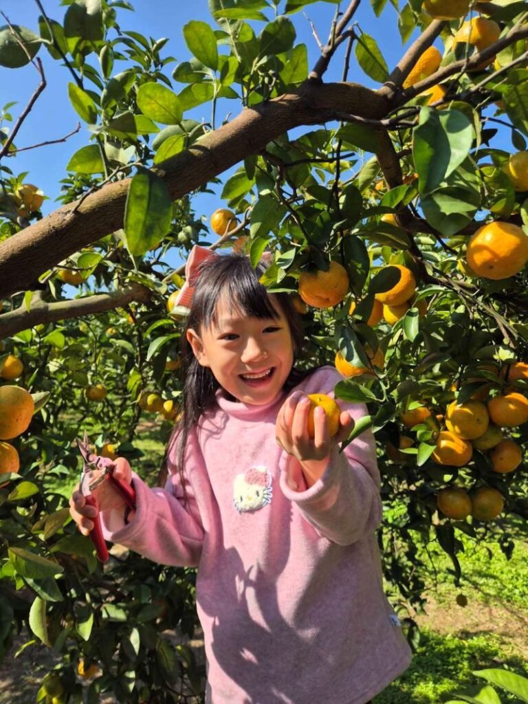 Yuni桃園濃情果園開心採橘子