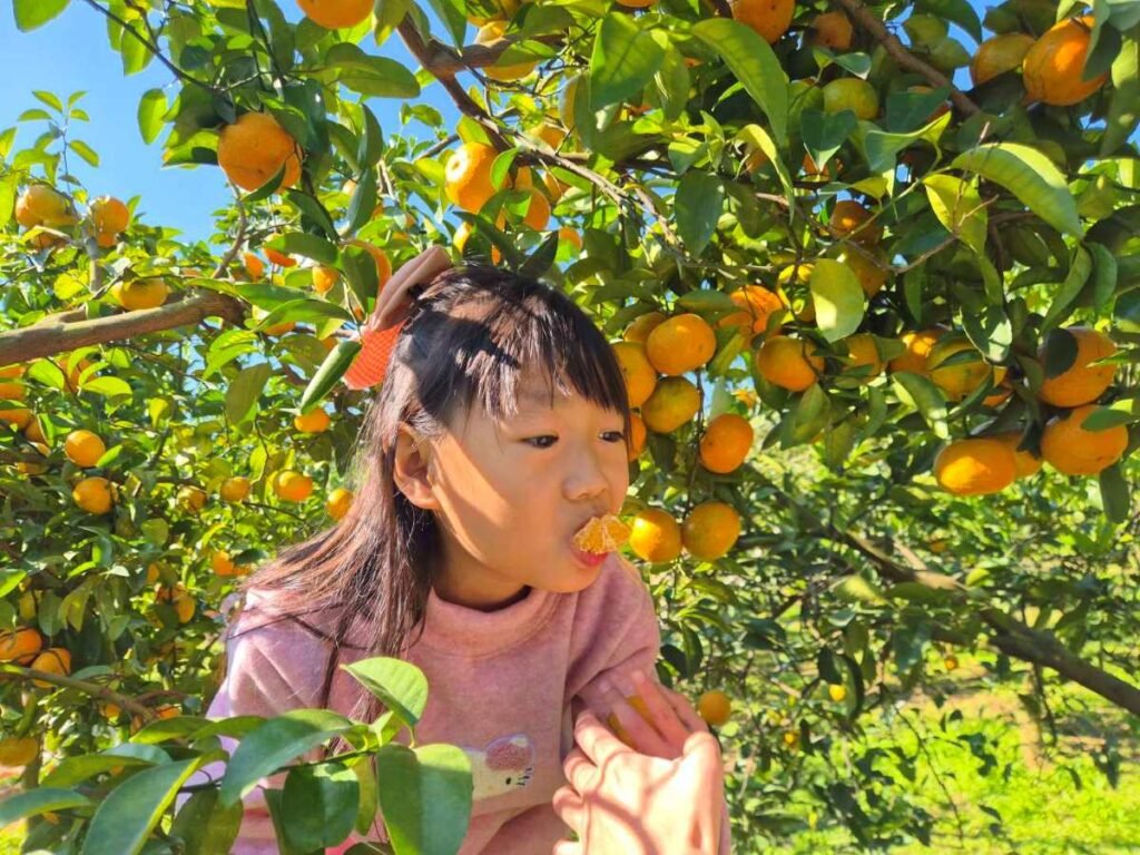 還可以無限試吃